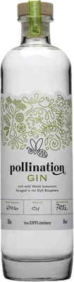 Bouteille de spiritueux : Pollination Gin de la marque Dyfi