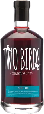 Bouteille de spiritueux : Sloe Gin de la marque Two Birds