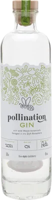 Bouteille de spiritueux : Gin de la marque Pollination