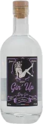 Bouteille de spiritueux : Gin'Up Dry Gin de la marque Landa's