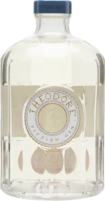 Bouteille de spiritueux : Gin de la marque Theodore