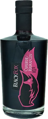 Bouteille de spiritueux : Camerise / Haskap Gin de la marque Black Fox