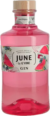 Bouteille de spiritueux : June by  Pasthèque de la marque G'Vine