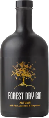 Bouteille de spiritueux : Autumn de la marque Forest Dry Gin