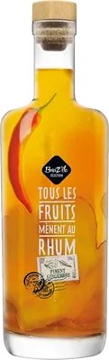 Bouteille de spiritueux : Breiz'île Sélection - Piment Gingembre de la marque Breiz’île