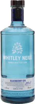 Bouteille de spiritueux : Blackberry Gin de la marque undefined