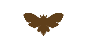 Logo de la marque de spiritueux : Vapoura Rhum