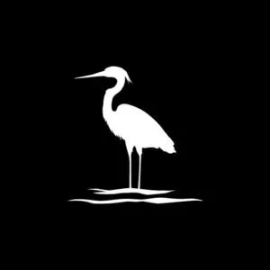 Logo de la marque de spiritueux : Blackwater Gin