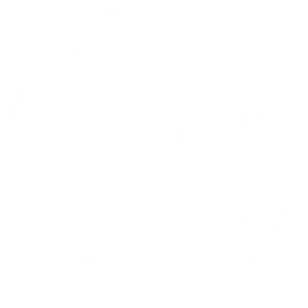 Logo de la marque de spiritueux : Tiny Bear Distillery Gin