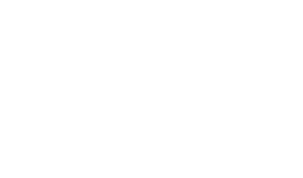 Logo de la marque de spiritueux : Method and Madness Gin