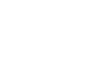 Logo de la marque de spiritueux : Zandoli Rhum