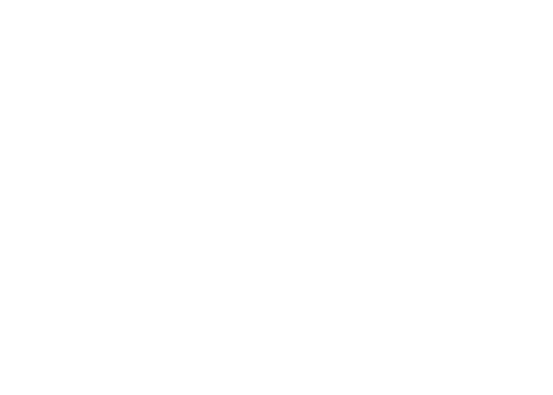 Logo de la marque de spiritueux : Black Fox Gin