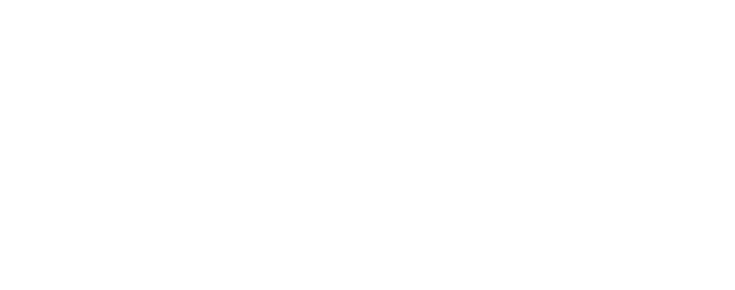 Logo de la marque de spiritueux : Van Gogh Vodka